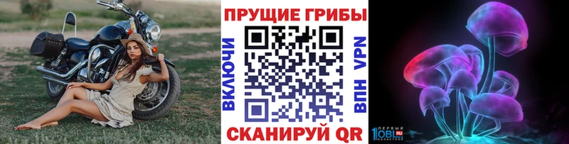 наркотики  Новокузнецк  Галлюциногенные грибы Magic Shrooms 